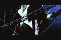 vistlip / EDY